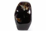 Tall Free-Standing Polished Indonesian Blue Amber #359560-2